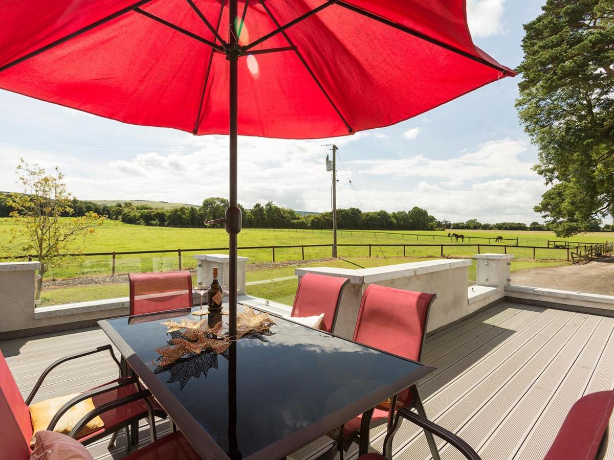 Coolcormack Stud B&B Dungarvan  Exterior photo